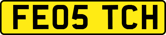 FE05TCH