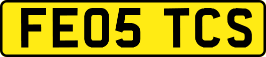 FE05TCS