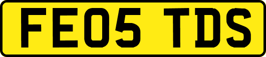FE05TDS