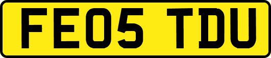 FE05TDU