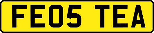 FE05TEA