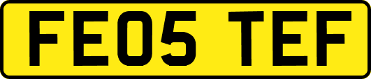 FE05TEF
