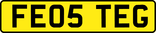 FE05TEG