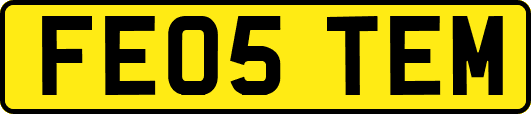 FE05TEM