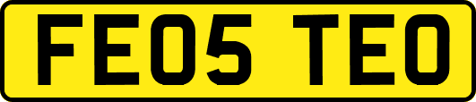 FE05TEO