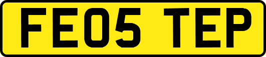 FE05TEP