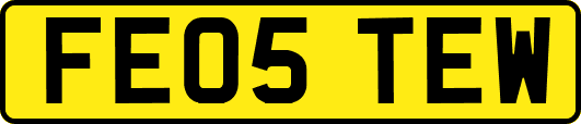 FE05TEW