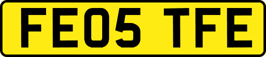 FE05TFE