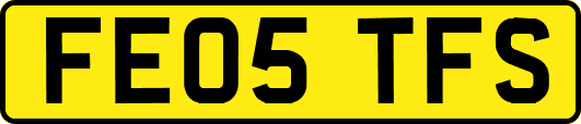 FE05TFS