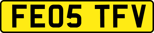 FE05TFV