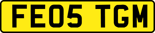 FE05TGM