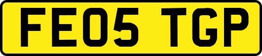FE05TGP