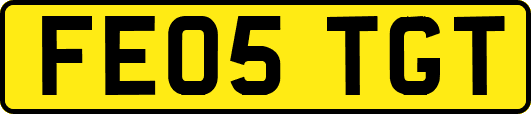 FE05TGT