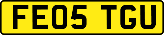 FE05TGU
