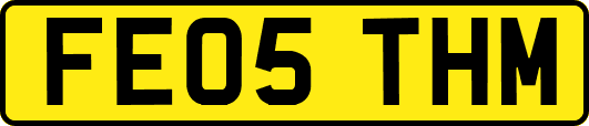 FE05THM