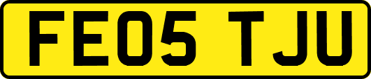 FE05TJU
