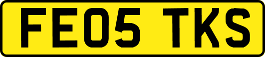 FE05TKS