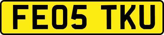 FE05TKU