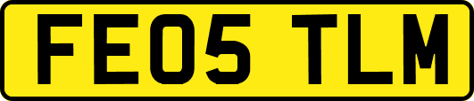 FE05TLM