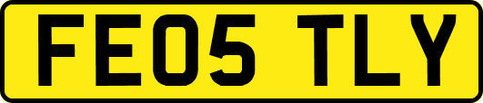FE05TLY
