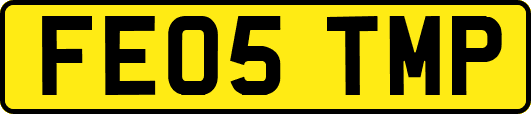 FE05TMP