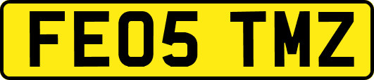 FE05TMZ