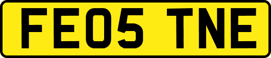FE05TNE