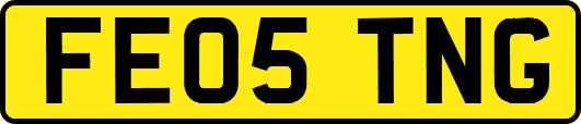 FE05TNG