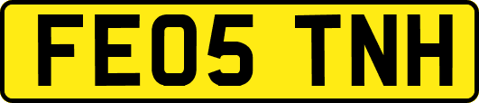 FE05TNH