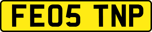 FE05TNP