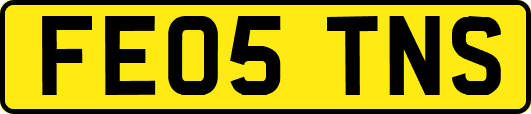 FE05TNS