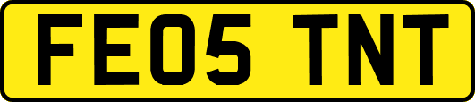 FE05TNT