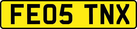 FE05TNX