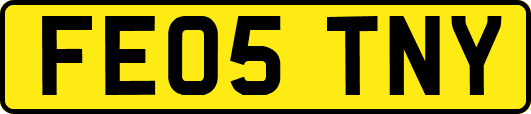 FE05TNY