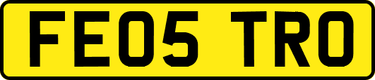 FE05TRO