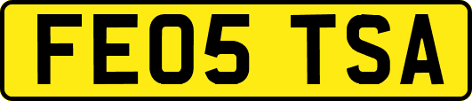 FE05TSA