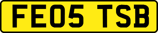 FE05TSB