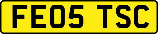 FE05TSC