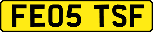 FE05TSF