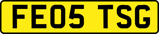 FE05TSG