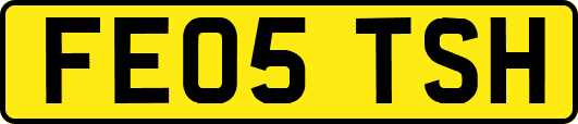 FE05TSH