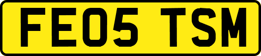 FE05TSM