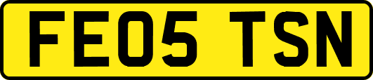 FE05TSN