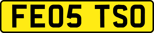 FE05TSO