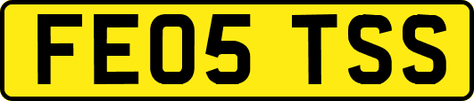 FE05TSS