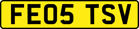FE05TSV