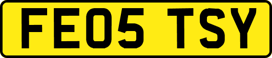 FE05TSY