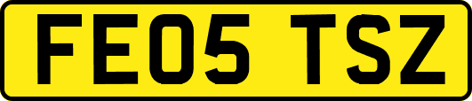 FE05TSZ