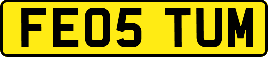 FE05TUM