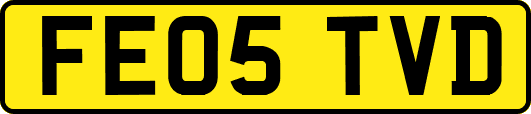 FE05TVD